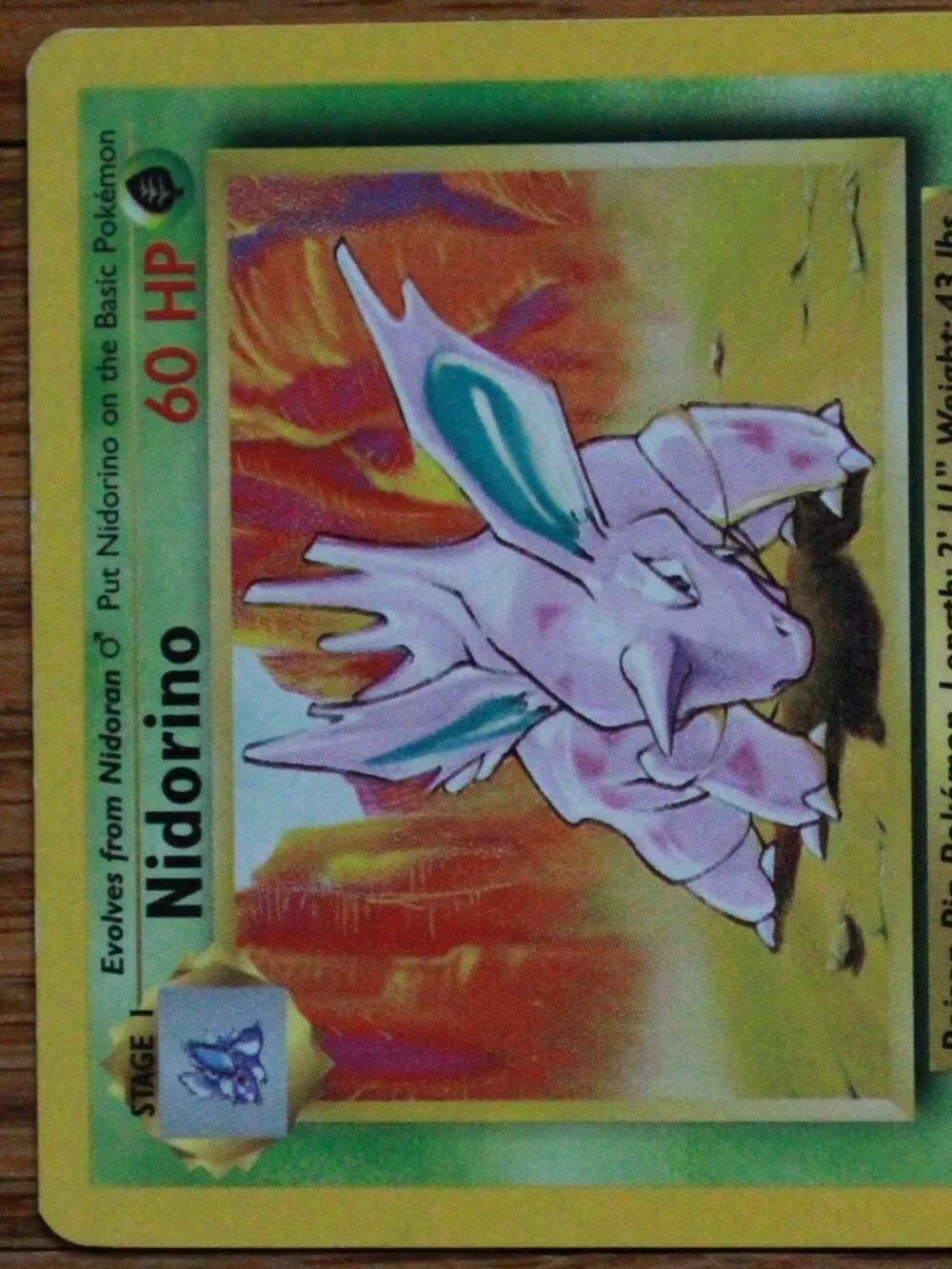Vintage Pokemon 1999 